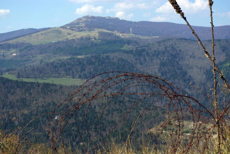 Checkliste zur Vermeidung von Betrug beim Kauf von Gold und Silber
