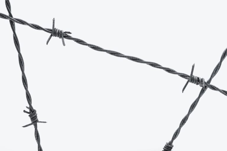 Gold- und Silbermünzen als stabile Krisenabsicherung gegen wirtschaftliche Unsicherheiten