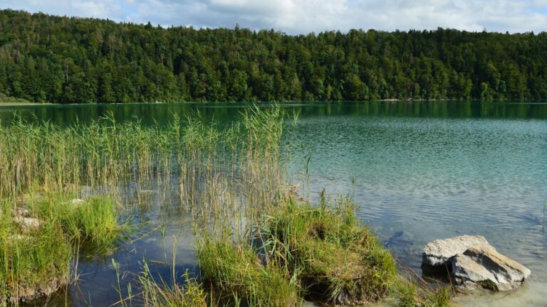 Goldbarren auf Waage mit Kursgrafik für optimalen Gold Verkauf Zeitpunkt