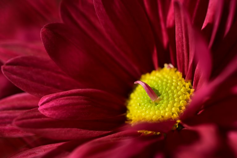 Goldschmuck und Münzen zur transparenten und zuverlässigen Gold Wertermittlung