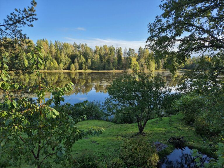 Goldminenaktien Risiken und Chancen bei Investitionen in Edelmetalle 2026 verstehen