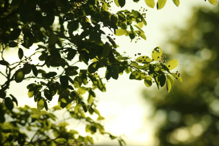 Moderne Goldminenaktien 2026 als nachhaltige Anlagetipps für Investoren