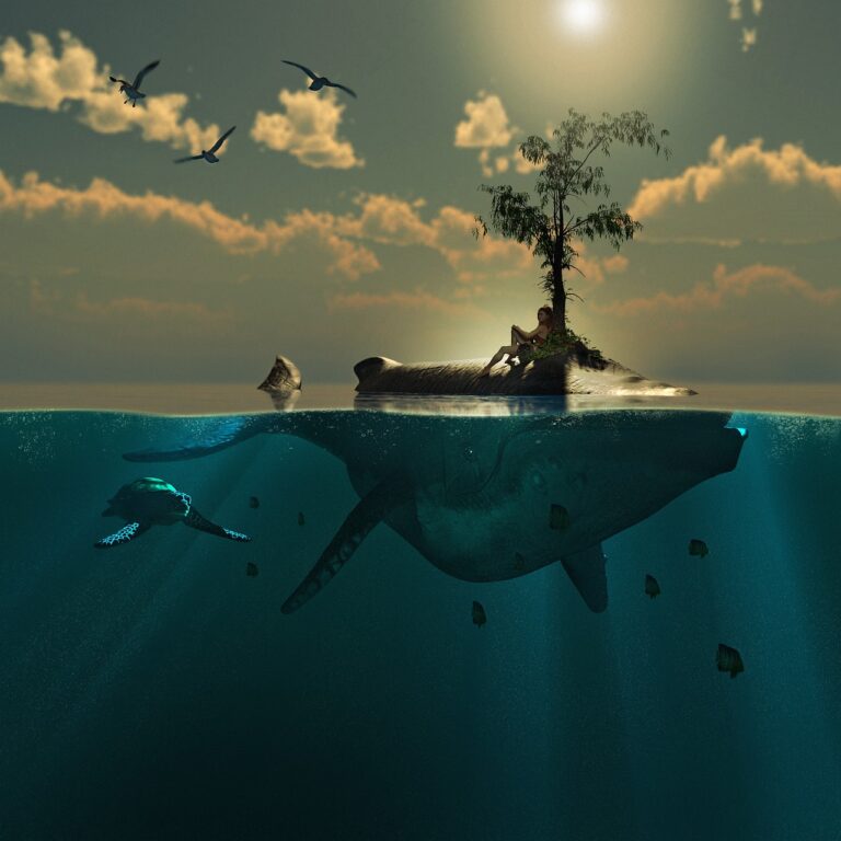 Physische Gold- und Silbermünzen als Anlage für Kleinanleger sinnvoll erklärt