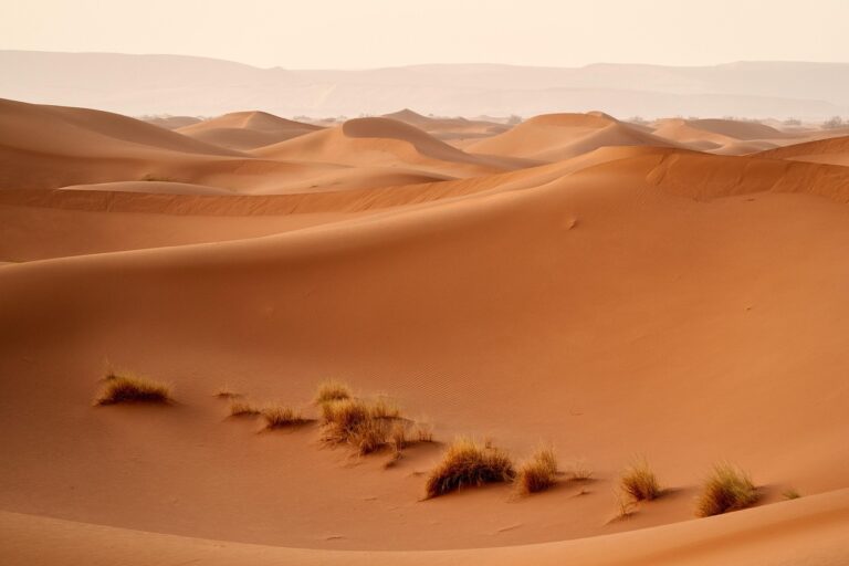 Goldmünzen und Barren mit Aufschlag beim Goldkauf im Überblick