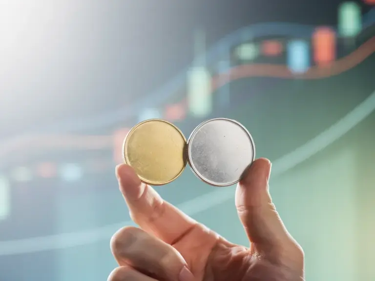 Blog: Portfolio Strategie – der große Ratgeber Illustration zum Thema Portfolio Strategie